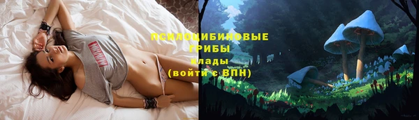 твердый Киреевск