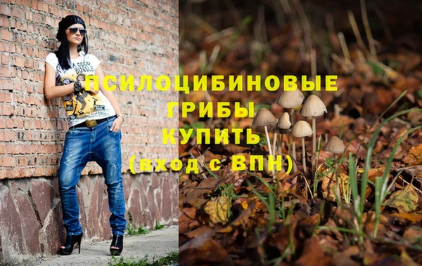 твердый Киреевск