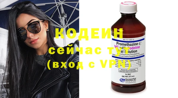 крисы Киренск