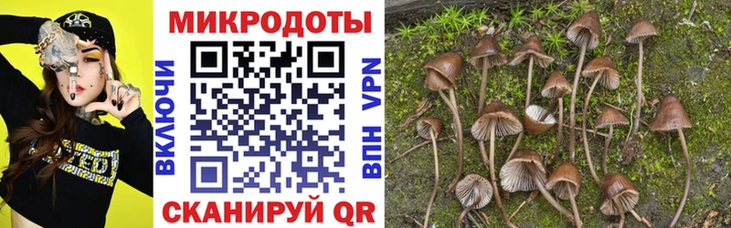 Галлюциногенные грибы мухоморы  Купить закладки  Бавлы 
